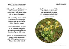 Hoffnungsschimmer-Kempner.pdf